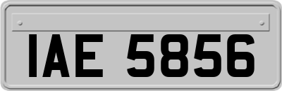 IAE5856