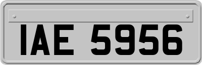IAE5956