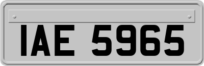 IAE5965
