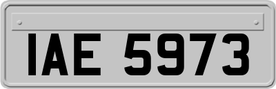 IAE5973