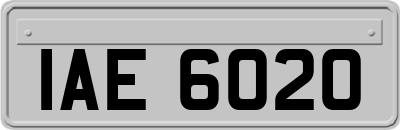 IAE6020