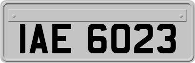 IAE6023