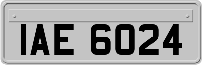 IAE6024