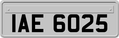 IAE6025