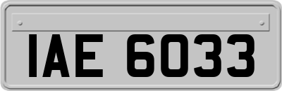 IAE6033
