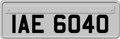 IAE6040