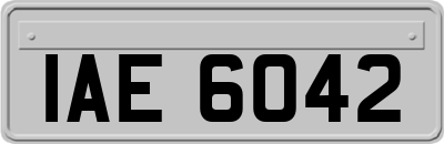 IAE6042