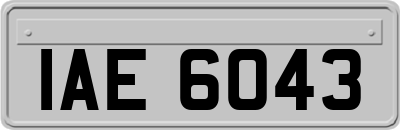 IAE6043