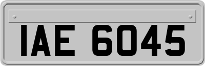 IAE6045