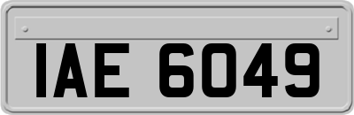 IAE6049