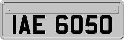 IAE6050