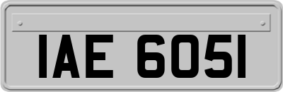 IAE6051