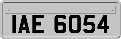 IAE6054