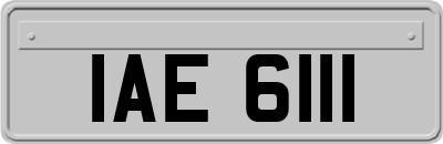 IAE6111