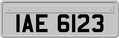 IAE6123