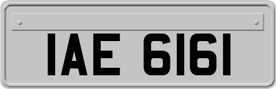 IAE6161