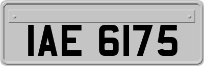 IAE6175