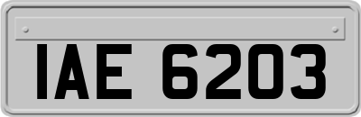IAE6203