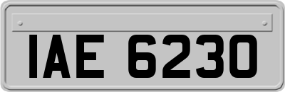 IAE6230
