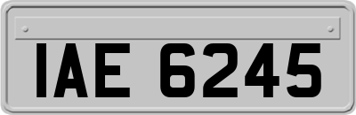 IAE6245