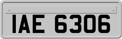 IAE6306