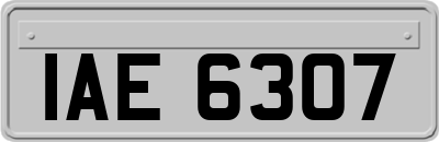 IAE6307