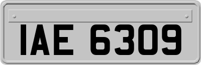 IAE6309