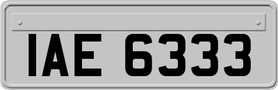 IAE6333