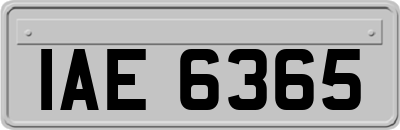 IAE6365