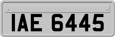 IAE6445