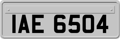 IAE6504