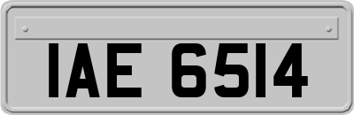 IAE6514