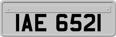 IAE6521