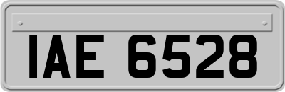 IAE6528