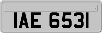 IAE6531