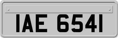 IAE6541