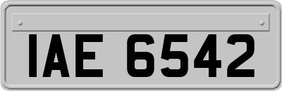 IAE6542