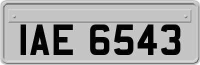 IAE6543
