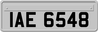 IAE6548