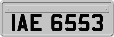 IAE6553