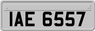 IAE6557