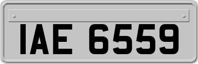 IAE6559