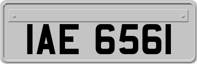 IAE6561