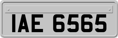 IAE6565