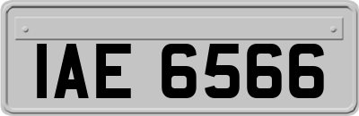 IAE6566