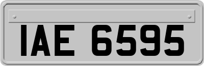 IAE6595