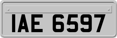 IAE6597