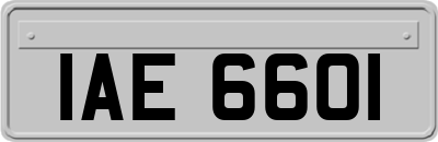 IAE6601