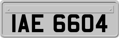 IAE6604