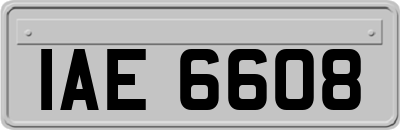 IAE6608
